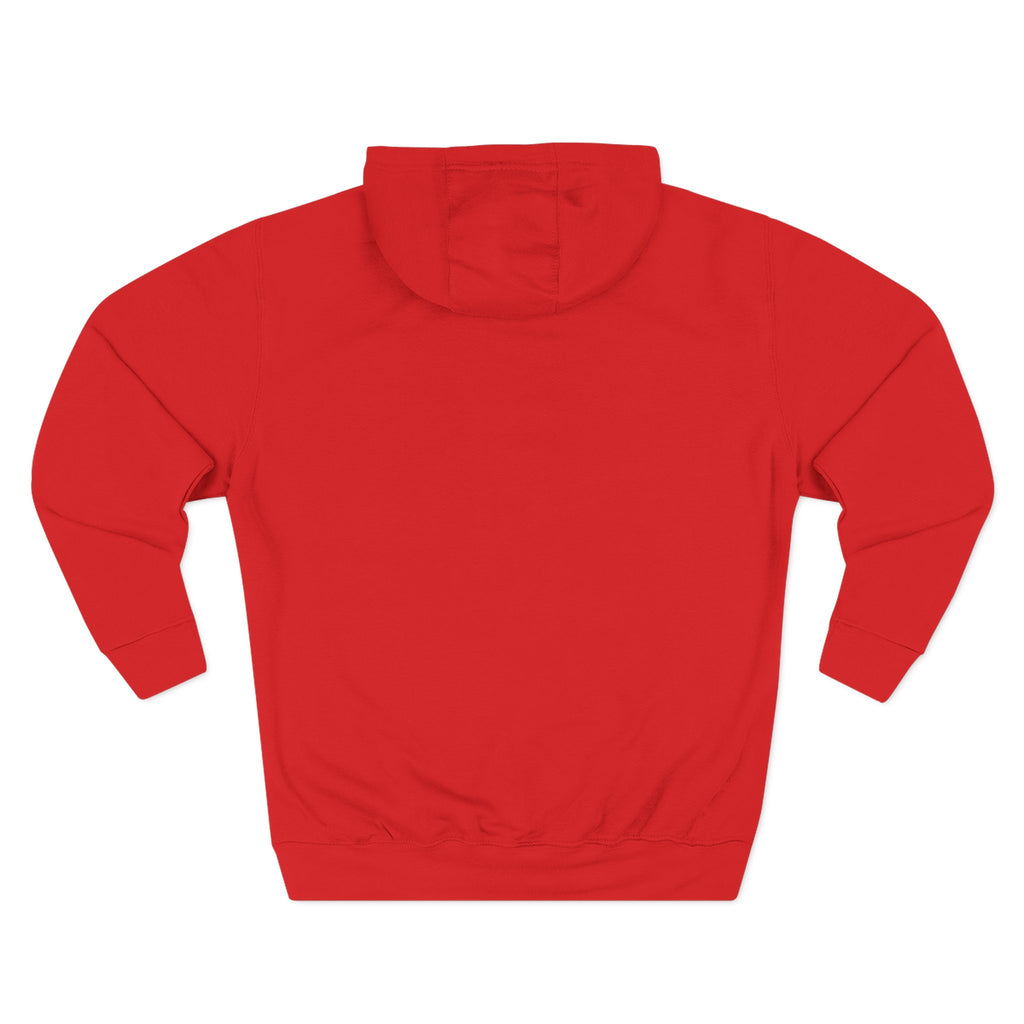 Wichita Aces Volleyball Hoodie (Heavy Blend) | Classic