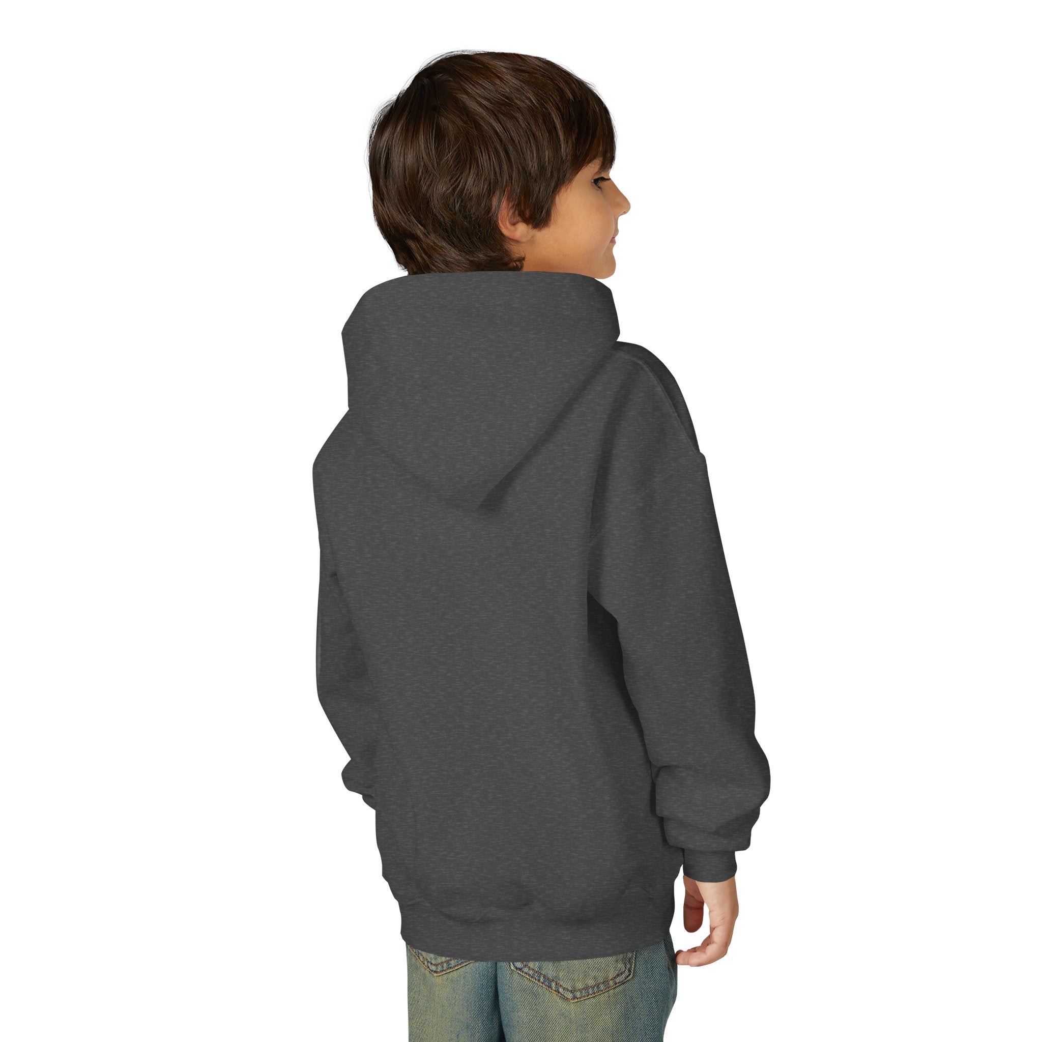 YOUTH Stateline Storm Hoodie