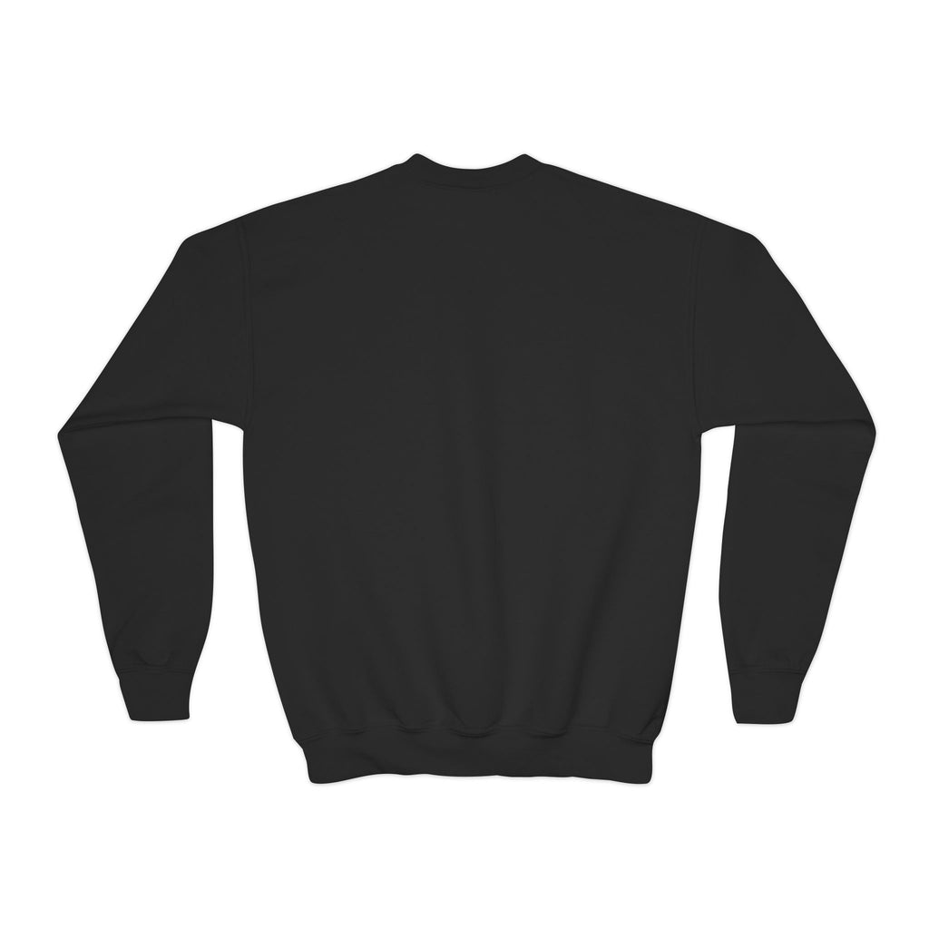 YOUTH ICT Stealth Crewneck