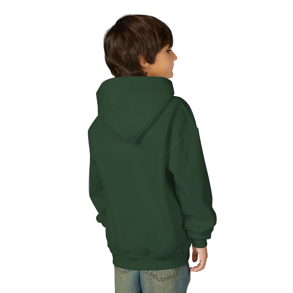 YOUTH Ducks Softball Hoodie