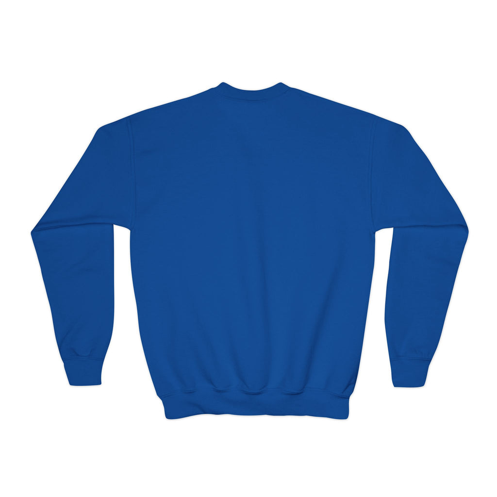 YOUTH ICT Stealth Crewneck