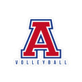 Wichita Aces Volleyball Die-Cut Window Sticker
