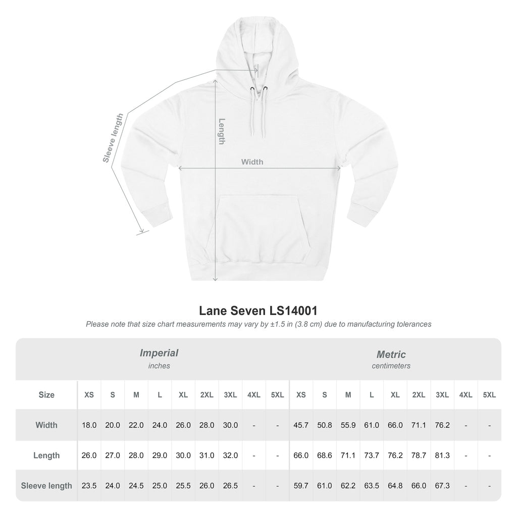 Stateline Storm Hoodie (MEDIUM WEIGHT)