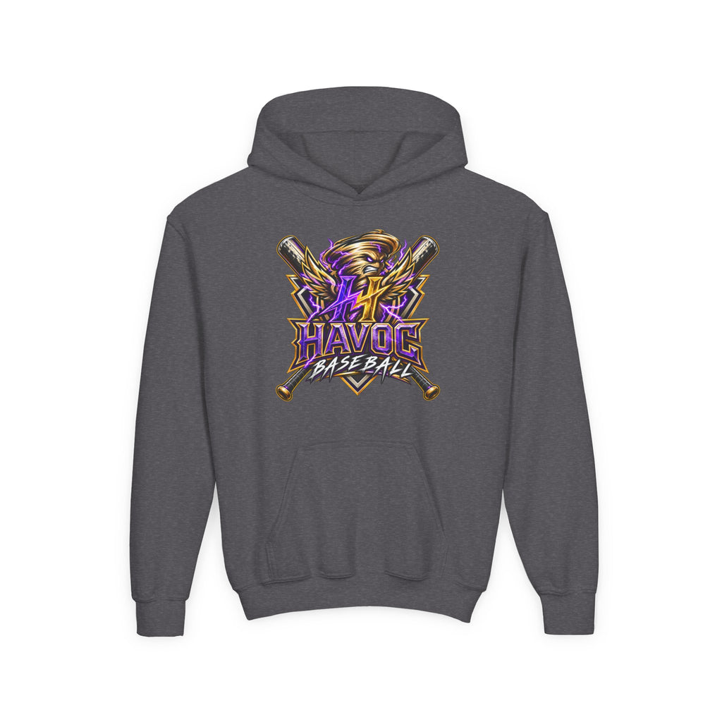 YOUTH Havoc Baseball Hoodie