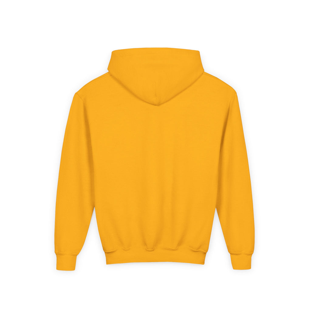 YOUTH Ducks Softball Hoodie