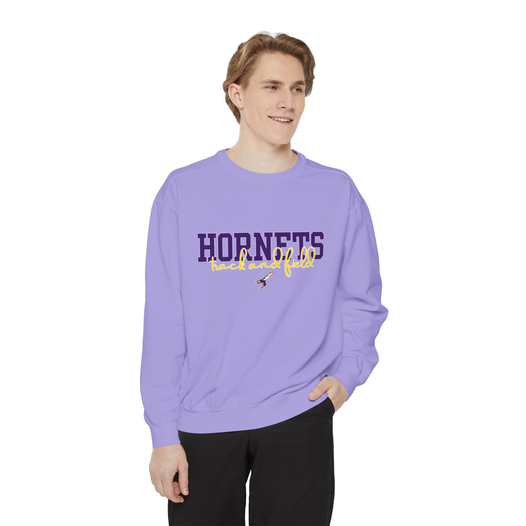Hornets Crewneck
